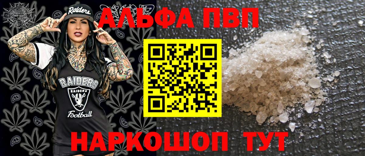 Alfa_PVP СК Великий Новгород