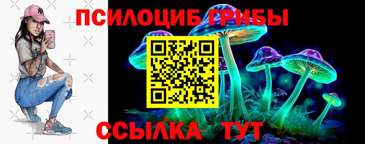 Великий Новгород  Галлюциногенные грибы Psilocybe  Вход с VPN  Псилоцибиновые грибы Psilocybe 