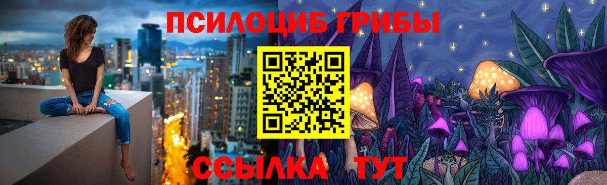 Галлюциногенные грибы Cubensis Великий Новгород